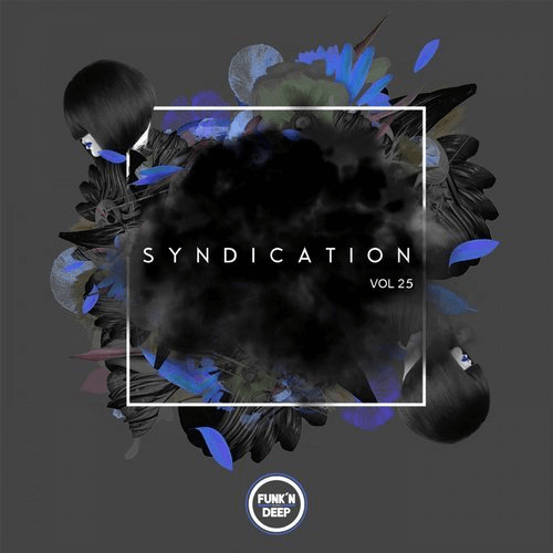 image cover: Syndication, Vol. 25 / Funk'n Deep Records