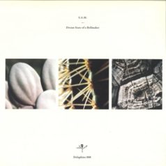 VINYL: S.A.M. – Dream State Of A Bellmaker / Delaphine