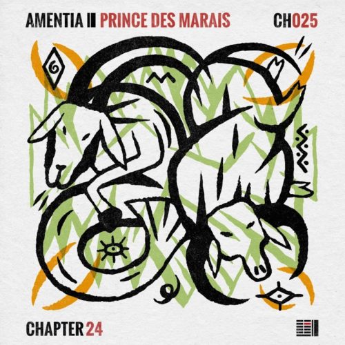 image cover: Amentia - Prince Des Marais / Chapter 24 Records