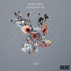 Ninetoes – Whaddup Kid (Alex Flatner Remix) / Still Hot