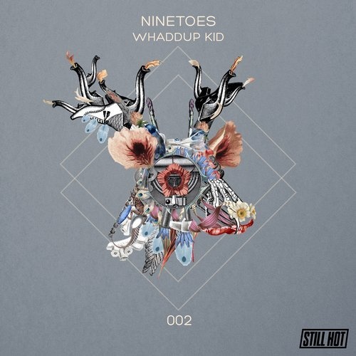image cover: Ninetoes - Whaddup Kid (Alex Flatner Remix) / Still Hot