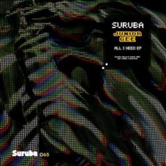 Junior Gee – All I Need EP / Suruba
