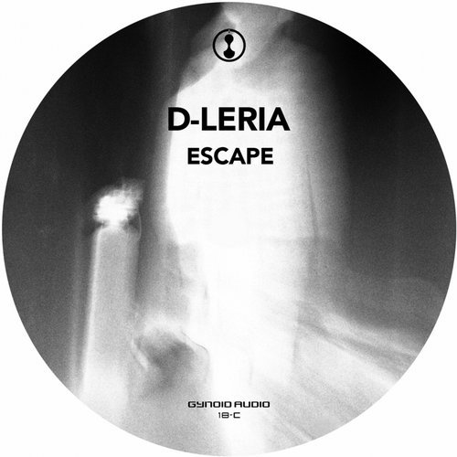 image cover: D-Leria - Escape / Gynoid Audio