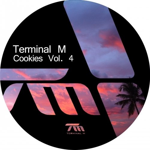 image cover: Various Artists - Terminal M Cookies Vol. 4 / Terminal M