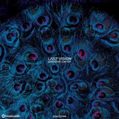 Last Vision – Groove On EP / Basswalk Records