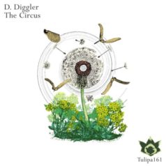 D. Diggler – The Circus / Tulipa Recordings
