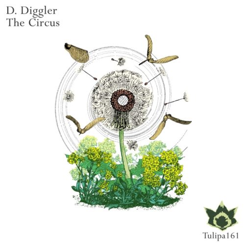 image cover: D. Diggler - The Circus / Tulipa Recordings