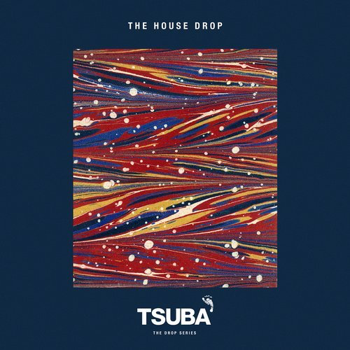image cover: VA - The House Drop / Tsuba