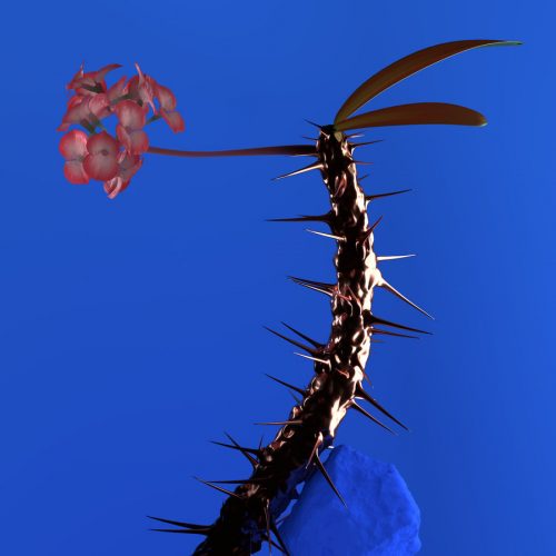 image cover: Flume - Skin Companion EP II / Future Classic