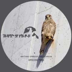Matthias Springer & Helly Larson – Turmfalke Episode Two / Diametral