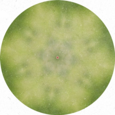 Riko Forinson – Malinconia Passiva / Dushe Label
