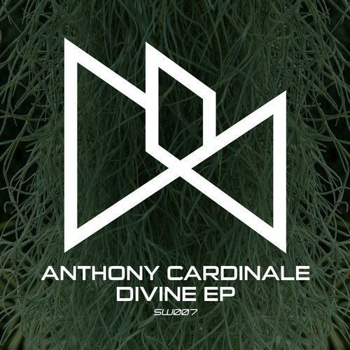 image cover: Anthony Cardinale - Divine EP / Session Womb