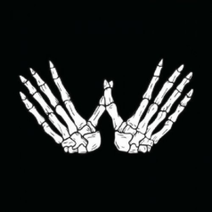 DJ W!ld – King Hit / The W Label