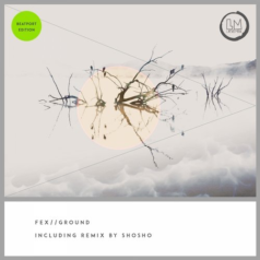 FEX (IT) – Ground / Lapsus Music