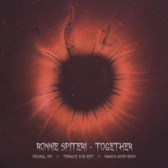 Ronnie Spiteri – Together (Markus Homm Remix) / Fall From Grace Records