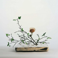 Mark Barrott – Music For Presence / International Feel Recordings