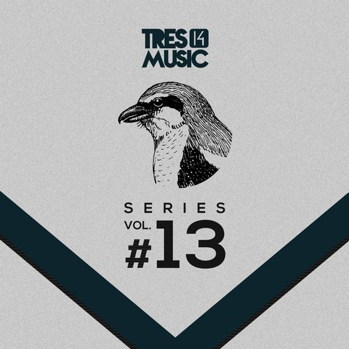 image cover: VA - Tres 14 Series Vol. 13 / Tres 14 Music