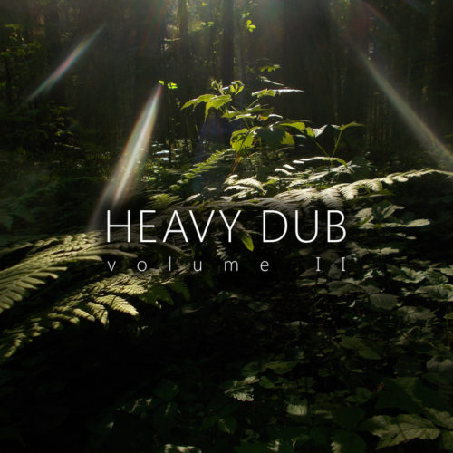 image cover: Various Artists - Heavy Dub Vol. 2 / Cold Tear Records