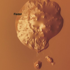Fiedel – Substance B / Ostgut Ton