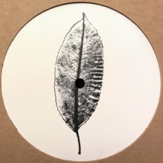 Alex.Do – Plangent#007 / Plangent Records