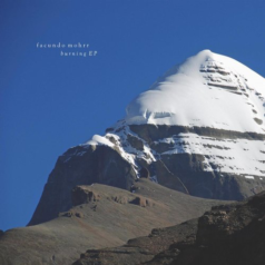Facundo Mohrr – Burning / L’enfant terrible
