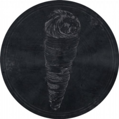 Roberto – Nerinea Trinodosa / Fossil Archive