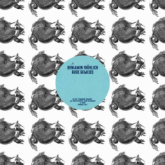 Benjamin Fröhlich – Rude Remixes / Permanent Vacation