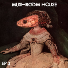 VA – Mushroom House EP3 / Toy Tonics