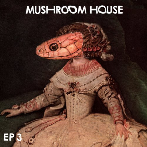 image cover: VA - Mushroom House EP3 / Toy Tonics