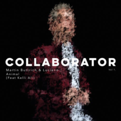 Martin Buttrich, Luciano, Kelli Ali – Animal / Rhythm Assault