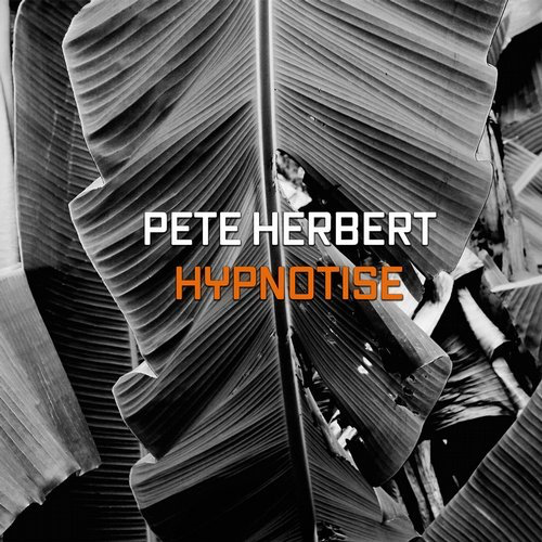 image cover: Pete Herbert - Hypnotize / Follentez