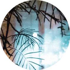 Idealist – Source EP / Echocord