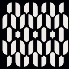 Planetary Assault Systems – The Light Years (Reworks) / Mote Evolver