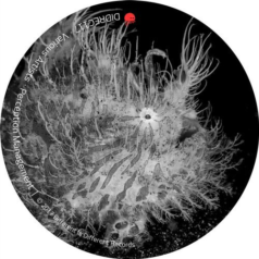 VA – Perception Management / Different Is Different Records