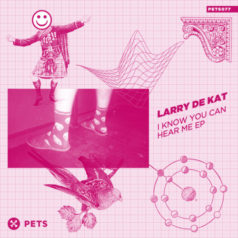 Larry de Kat – I Know You Can Hear Me EP / Pets Recordings