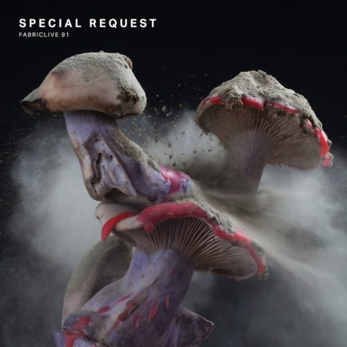 image cover: Special Request - Fabriclive 91 / Fabric