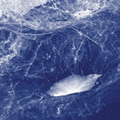 RM – The Hierarchy Of Being / Yerevan Tapes