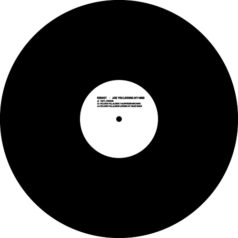 VINYL: Reboot – Are You Loosing My Mind (Incl. Ricardo Villalobos Remix) / Get Physical Music