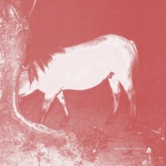 Yaleesa Hall – Woodall Remixes / Will & Ink