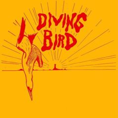 Andy Mac – Diving Bird 1 – Single / Idle Hands