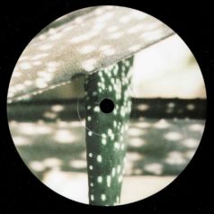 VINYL: S.A.M. – Delaphine 007 / Delaphine