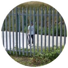 VINYL: Ross From Friends – Don’t Sleep, There Are Snakes / Lobster Theremin
