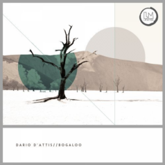 Dario D’Attis – Bogaloo / Lapsus Music