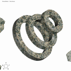 Florian Meindl – Time Illusion / FLASH Recordings