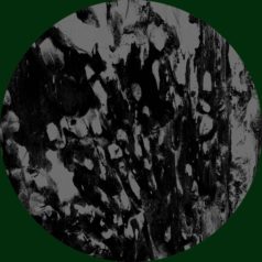 Mono Junk – Disillusions / Skudge