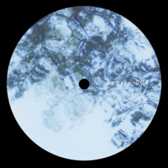 Voices from The Lake, Svreca – Between the Lines / Spazio Disponibile
