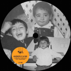 Audiofly, SIS – A Dream Through the Unknown / Kindisch
