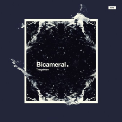 Theydream – Bicameral / FCKNG SERIOUS