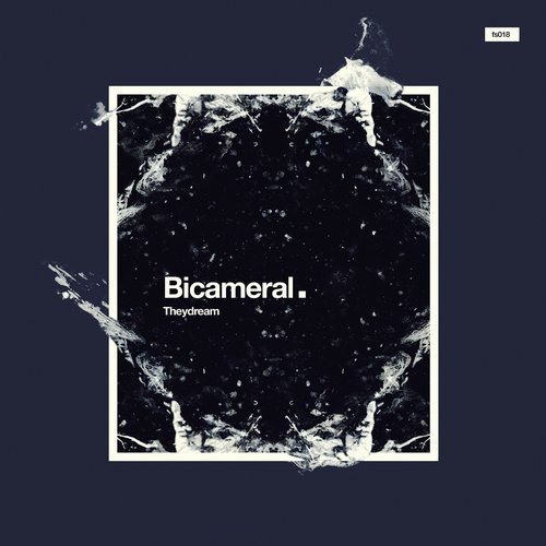 image cover: Theydream - Bicameral / FCKNG SERIOUS