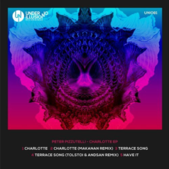 Peter Pizzutelli – Charlotte EP / Under No Illusion